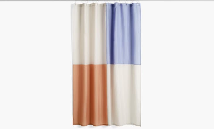 Product Image: Check Shower Curtain