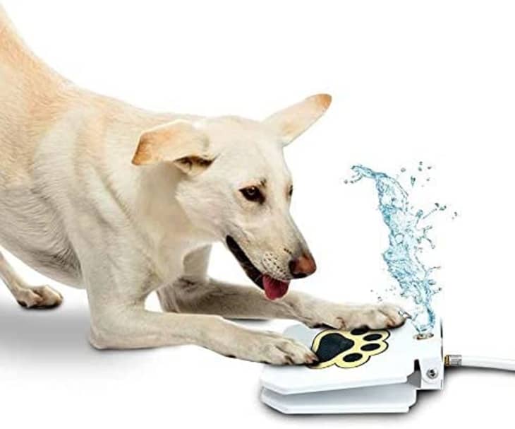 Product Image: Trio Gato Outdoor Dog Water Fountain