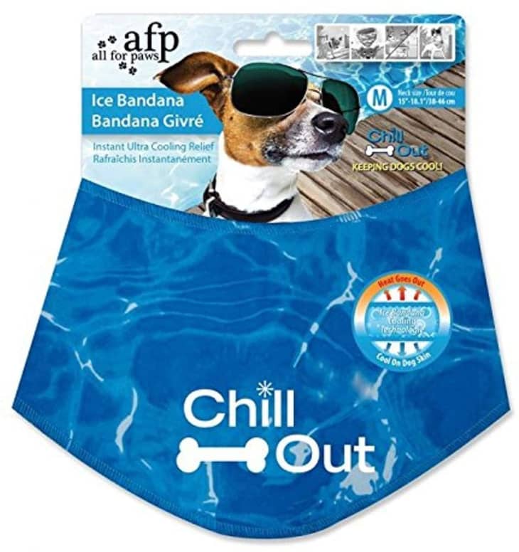 Product Image: All for Paws Chill Out Dog Ice Bandana, Medium
