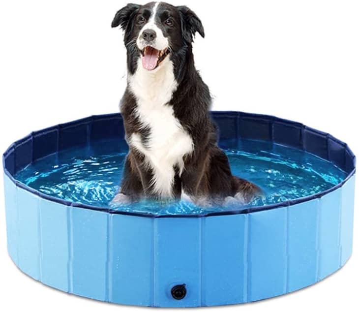 Product Image: Jasonwell Foldable Dog Pool, Large