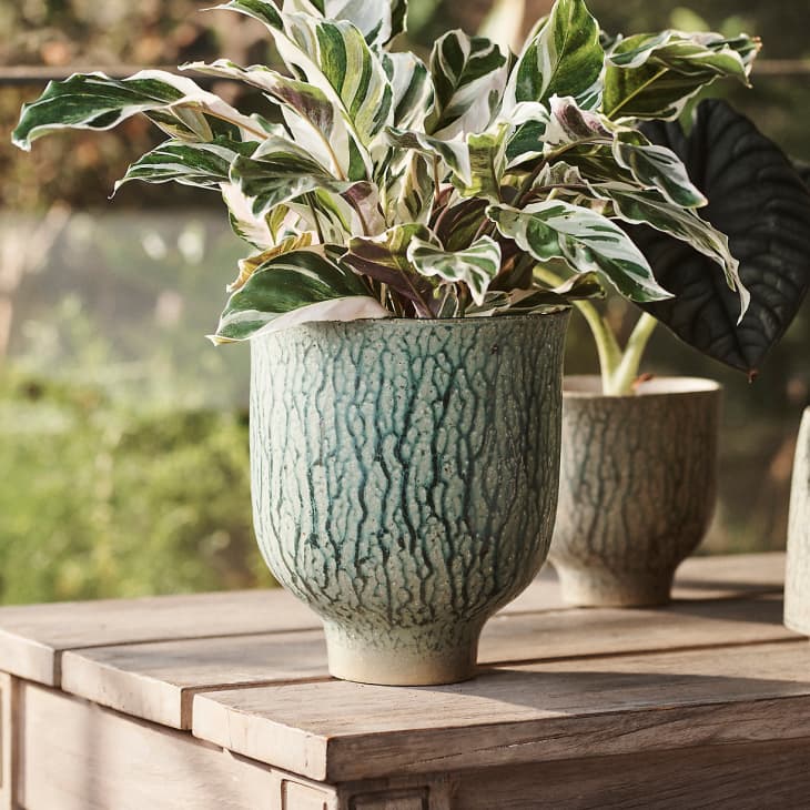 Product Image: Drippy Ceramic Tulip Planter