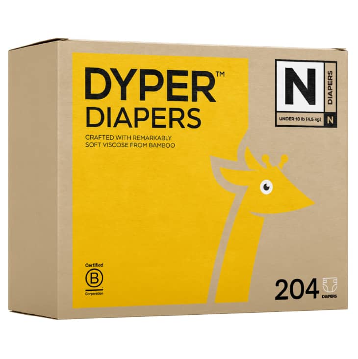 Product Image: Dyper's Monthly Subscription Box, 204 diapers