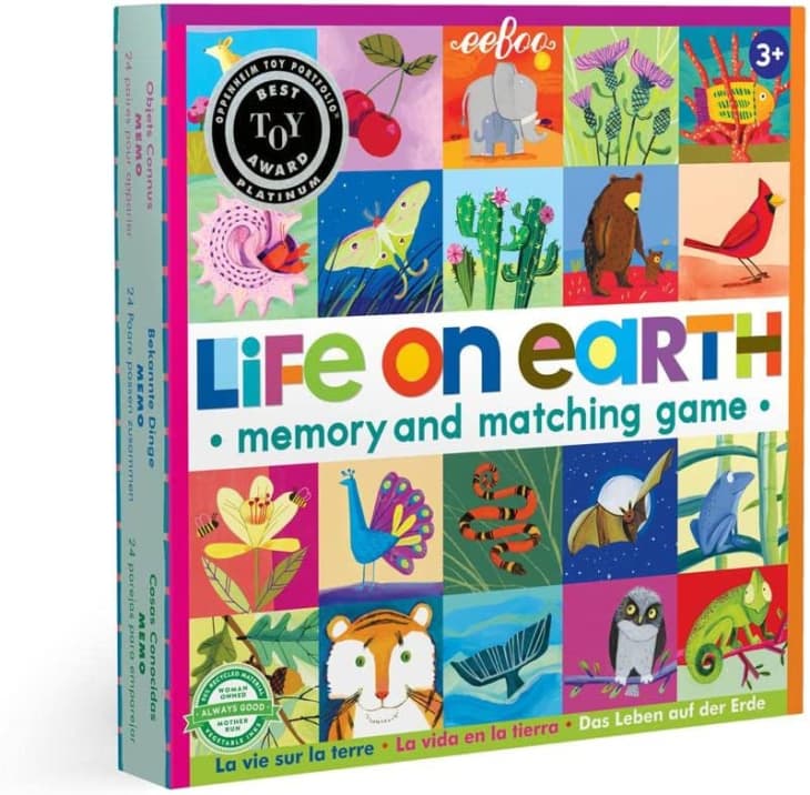 Product Image: eeBoo Life on Earth, Memory & Matching Game