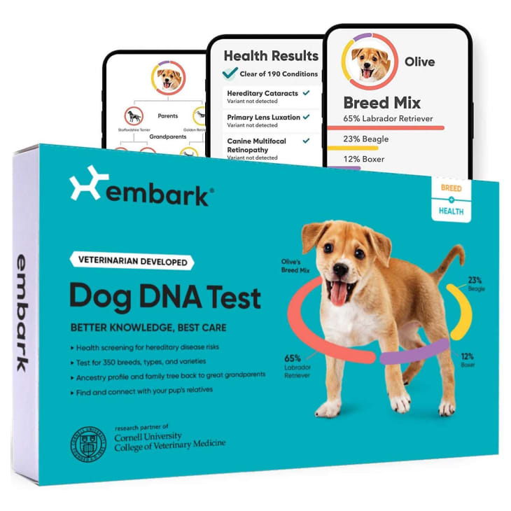 Embark Dog DNA Test at Amazon