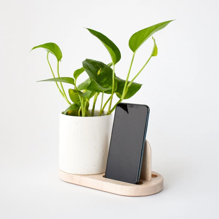 Product Image: Stak Ceramics Flora Planter Phone Stand