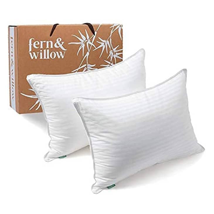 产品形象:蕨类和柳树优质羽绒替代枕头