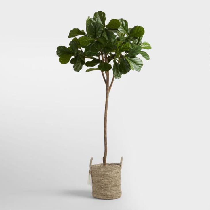Product Image: 6 Foot Faux Fiddle Leaf Fig Tree