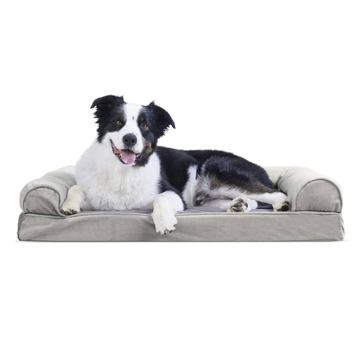 Furhaven Pet Orthopedic Dog Bed, Medium at Walmart