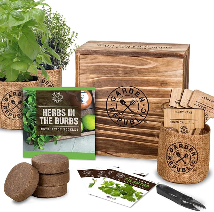 Product Image: Garden Republic Indoor Herb Garden Starter Kit