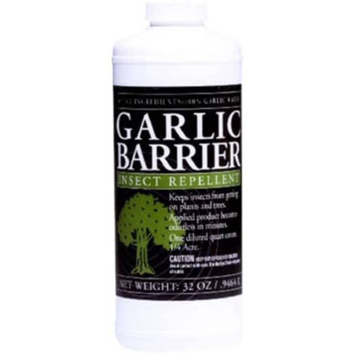 Product Image: Garlic Barrier 32-oz Insect Repellent