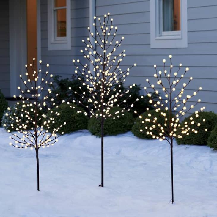 Product Image: Globe Light Twig Tree, 6'