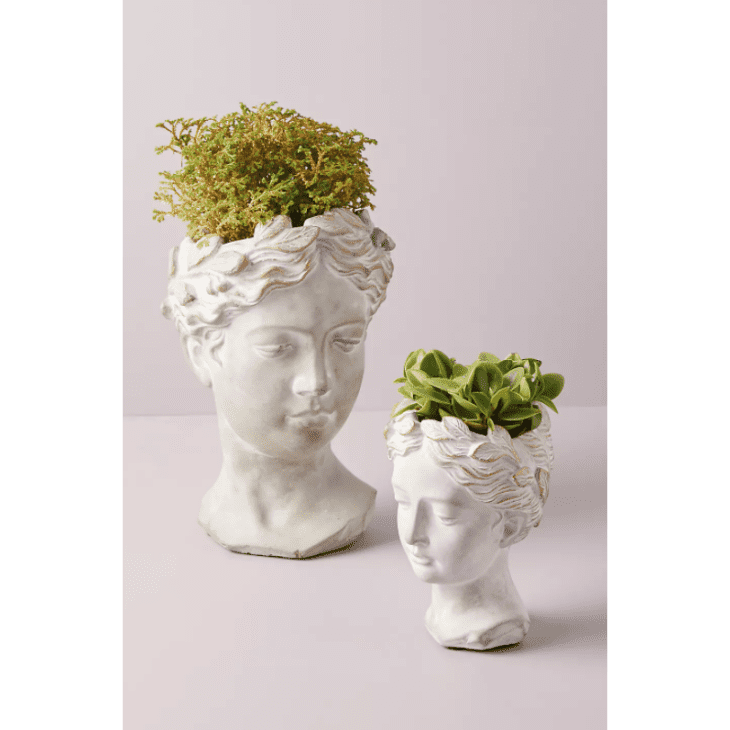 Product Image: Grecian Bust Pot, Small