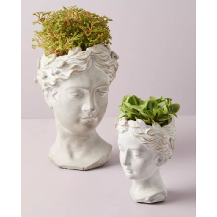 Grecian Bust Pot at Anthropologie