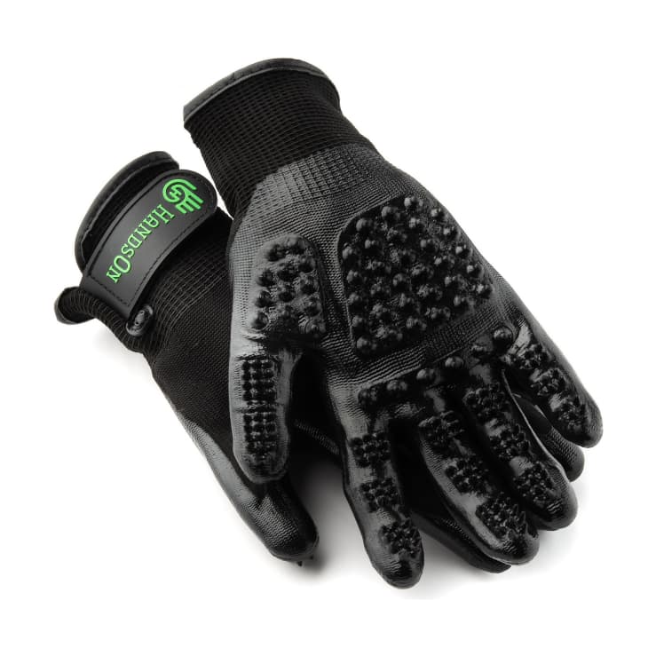 Product Image: HandsOn All-In-One Bathing & Grooming Gloves
