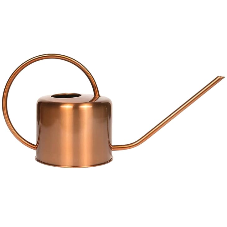 Homarden Decorative Copper 40-Oz. Watering Can at Amazon