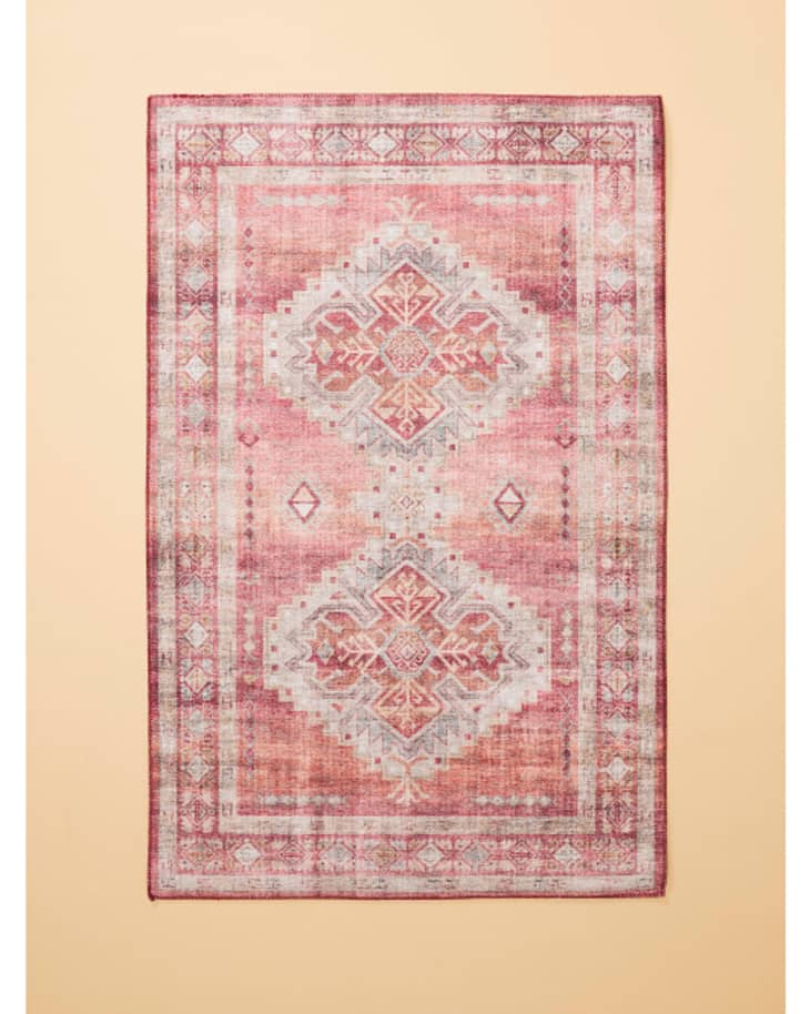 HomeGoods Rug Sale 2023 - Here Are Our 10 Favorites | Apartment 