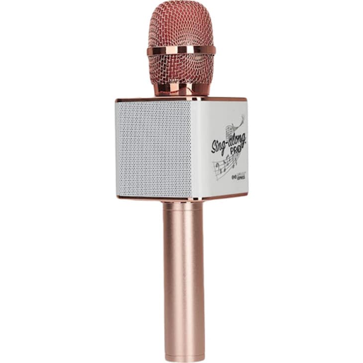 Bluetooth Karaoke Microphone & Speaker at Maisonette