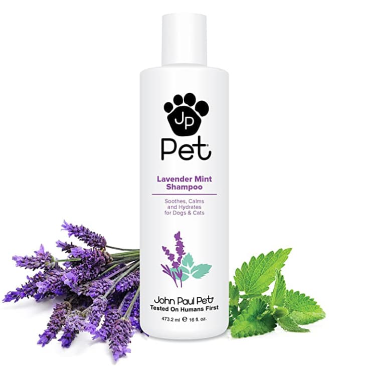 JP Pet Lavender Mint Shampoo at Amazon