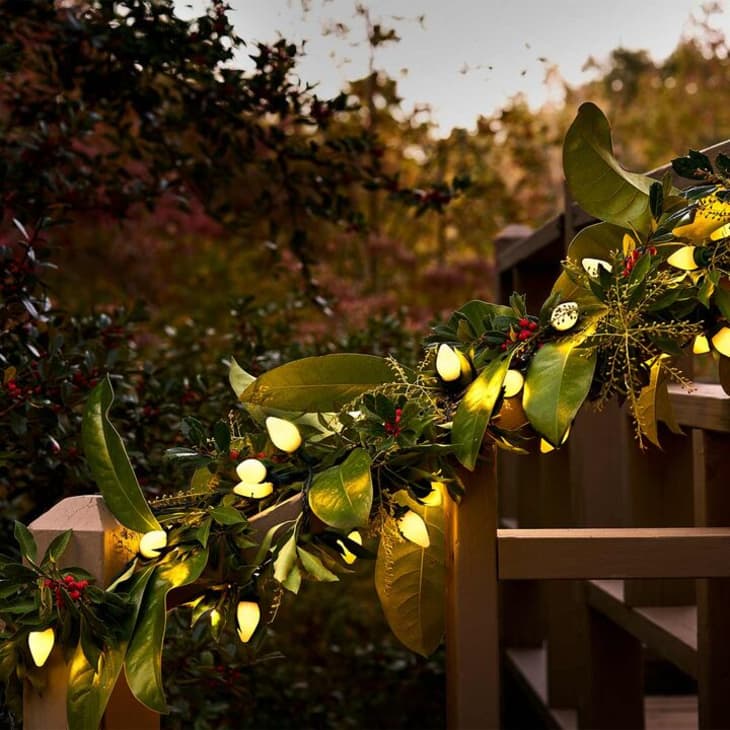 Product Image: Gloria Warm White Battery-Operated String Lights