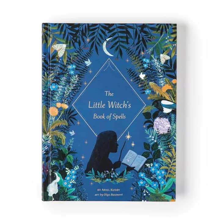 Product Image: The Little Witch's Book of Spells