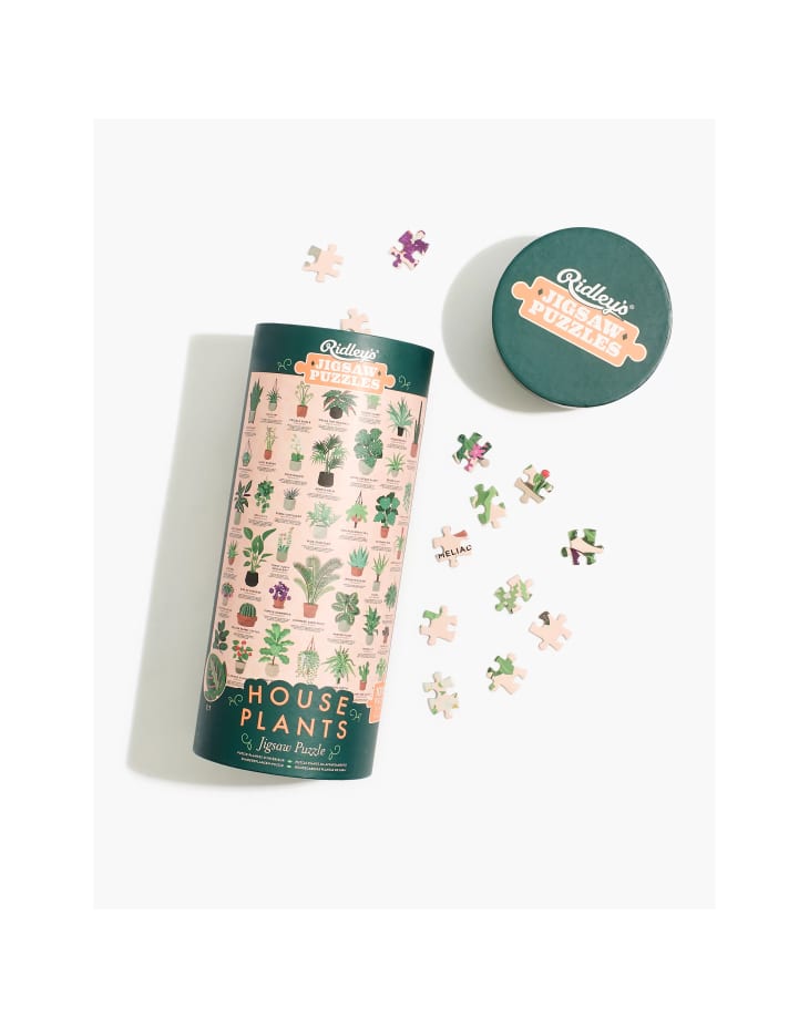 Ridley's House Plants 1000-Piece Jigsaw Puzzle at Madewell
