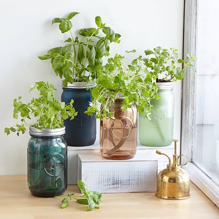 Modern Sprout Garden Jar (Mint)