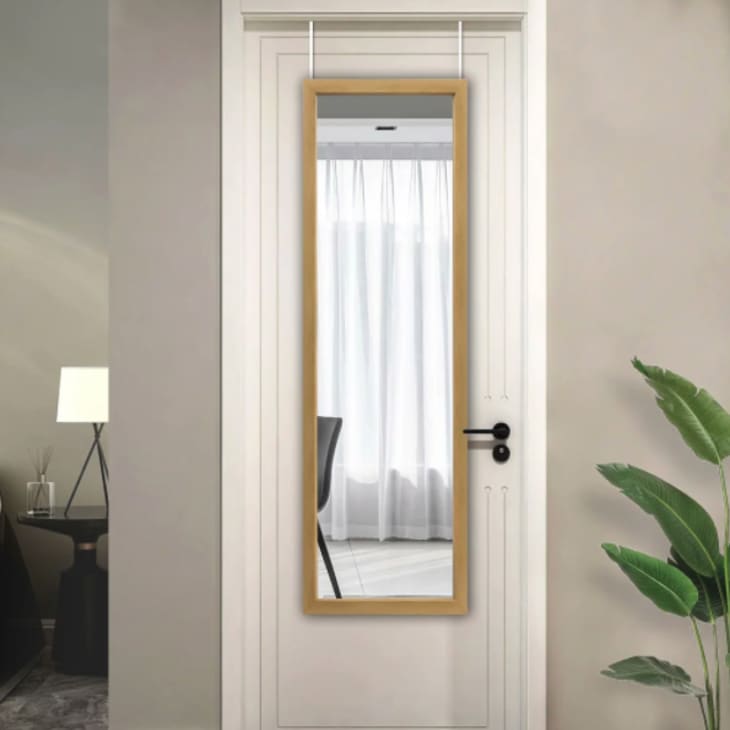 Modern Full-length Hanging Door Mirror at Overstock
