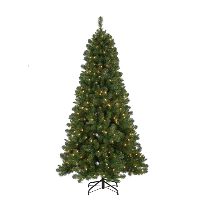 Product Image: National Tree Company 6.5 ft. Mixed Pine Tree with Clear Lights
