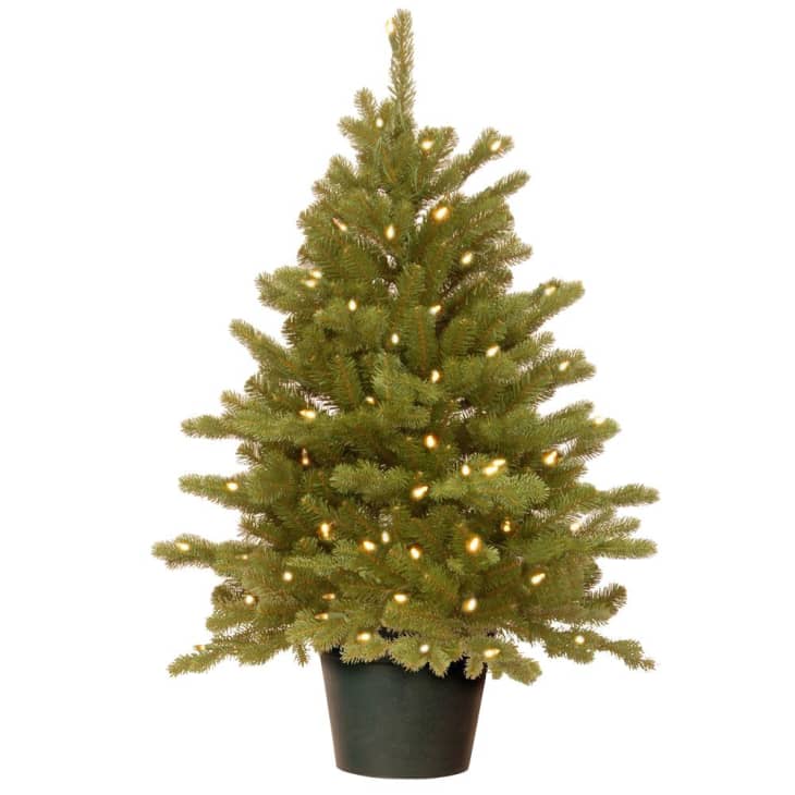 Product Image: National Tree Company Feel-Real Hampton Spruce Small Artificial Tree