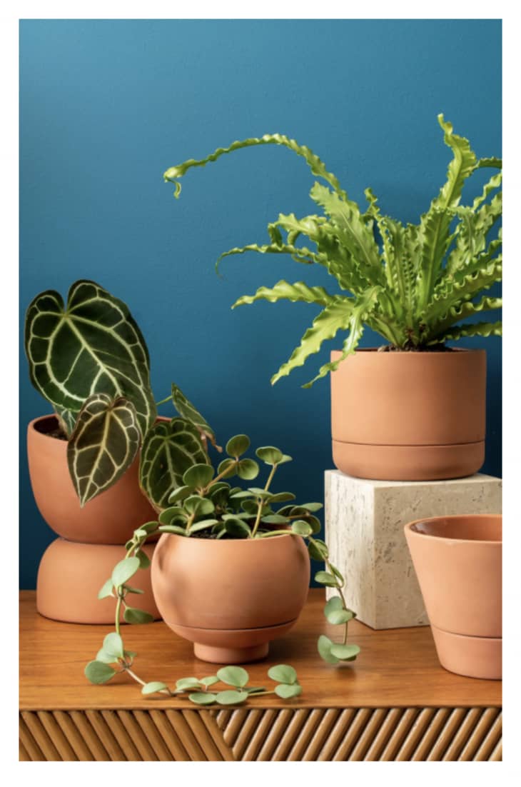 Greenery Unlimited Franklin 17 Self Watering Planter at Nordstrom
