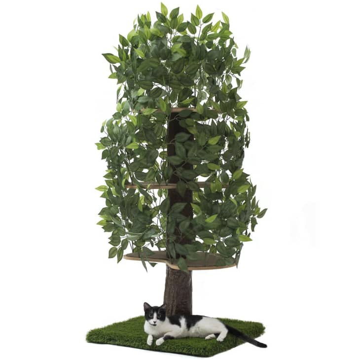 On2 Pets Cat Tree with Leaves at Amazon