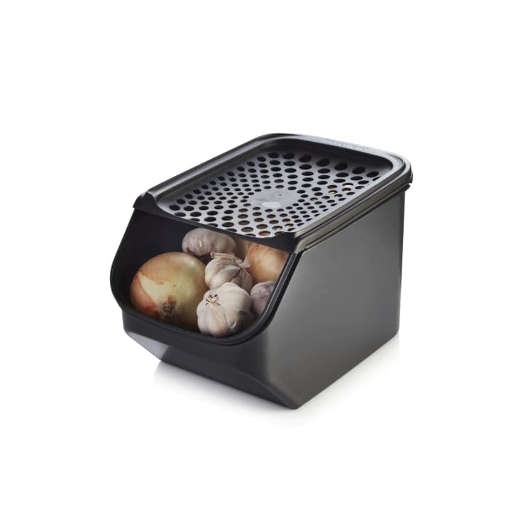Onion & Garlic Smart Container at Tupperware