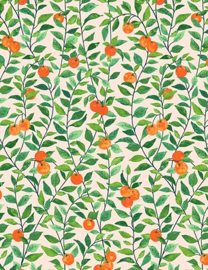 Product Image: Orange Crush Wallpaper by Nathan Turner