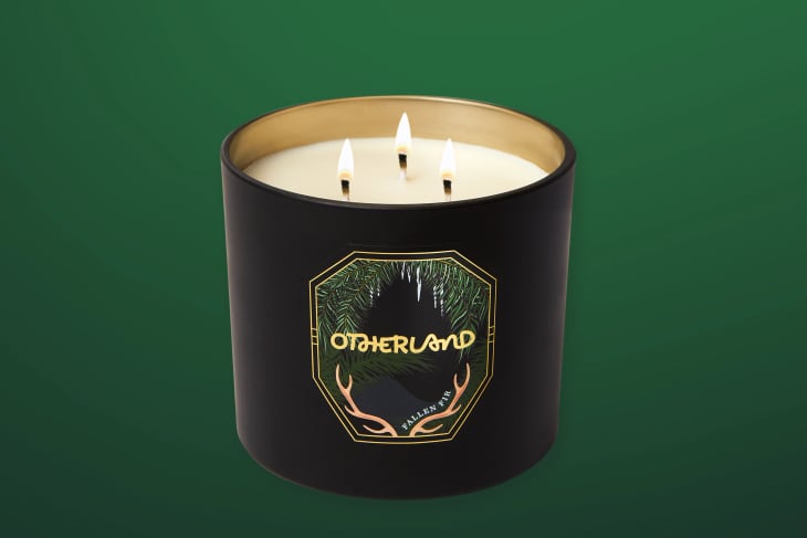 Product Image: Fall Fir 3-Wick Candle