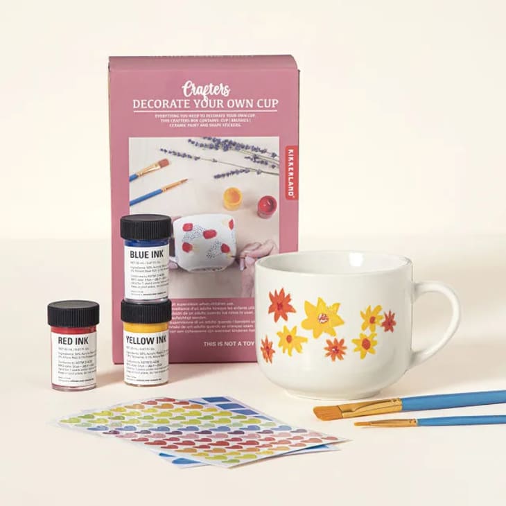 Paint Your Own Mug DIY Kit at Uncommon Goods
