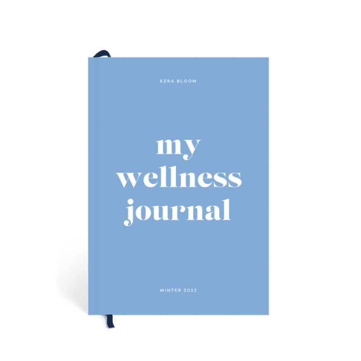 Joy Wellness Journal at Papier