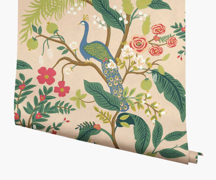 Product Image: Peacock Wallpaper
