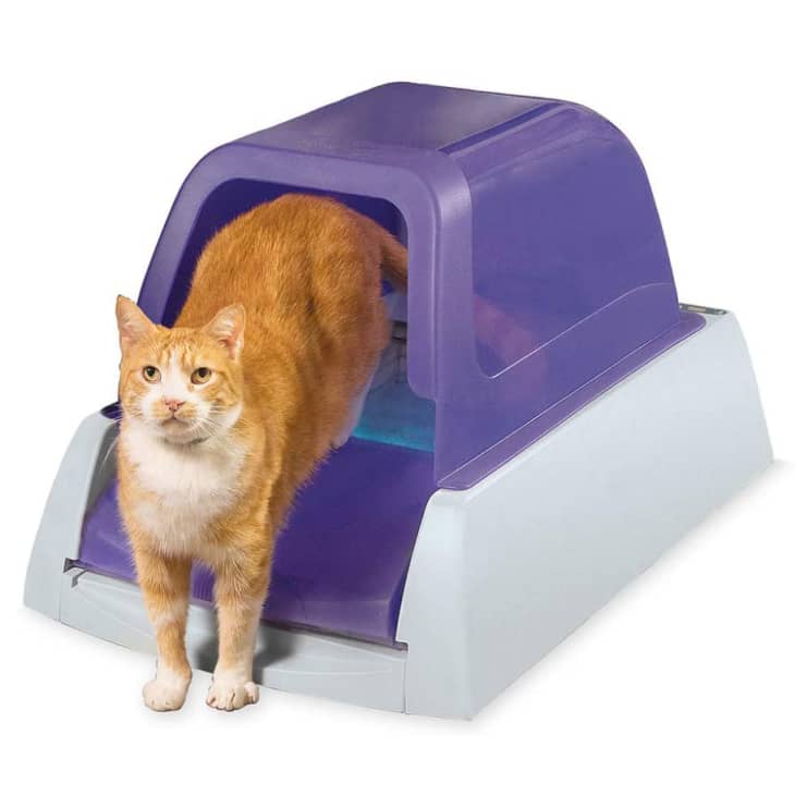 产品形象:PetSafe spoopfree自动清洁猫砂盒