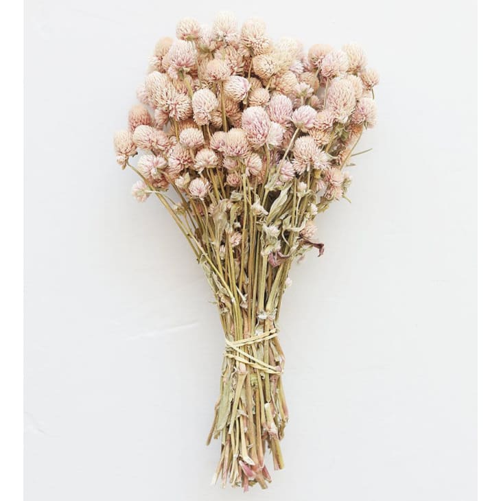 Product Image: Pink Dried Globe Amaranth Flowers