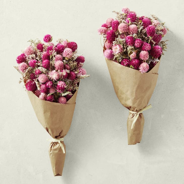 Product Image: Pink Strawflower Bouquet, Set of 2