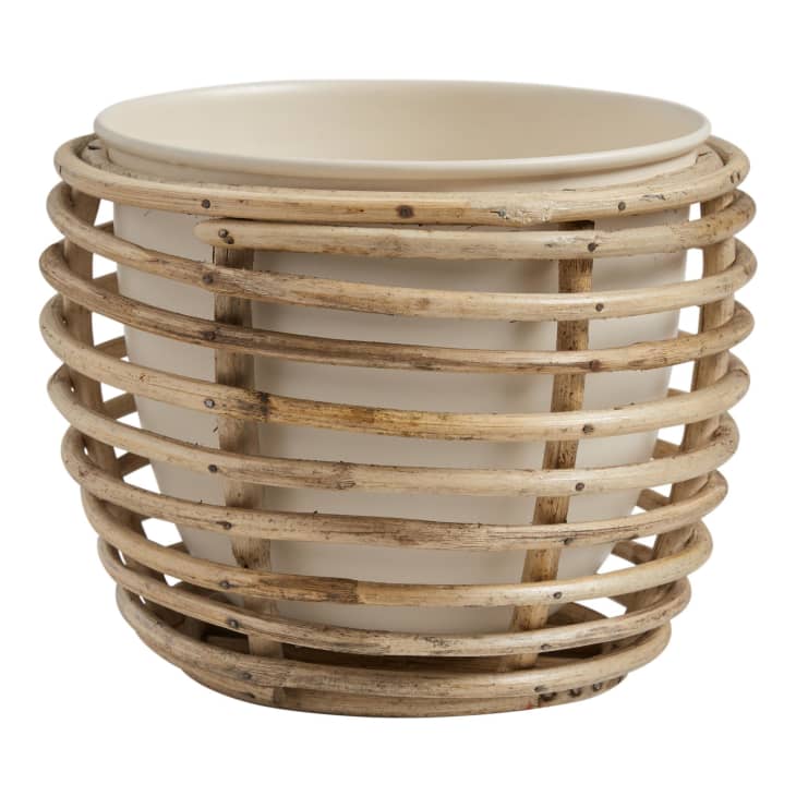 Product Image: Ivory Metal Planter With Rattan Cane Stand