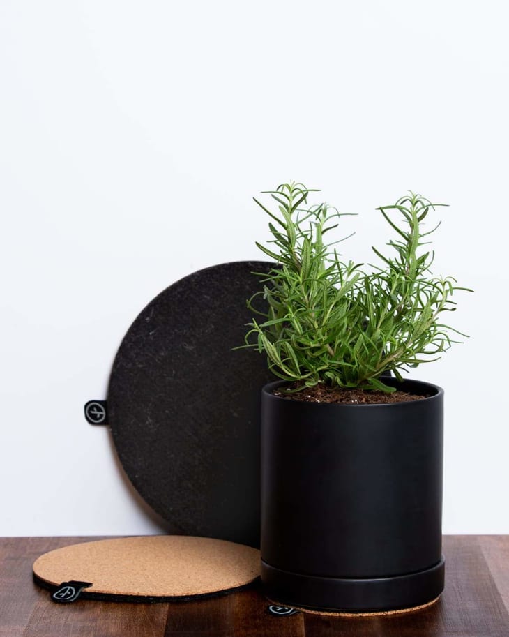 30 Best Gifts For Plant Lovers and Green Thumbs in 2021