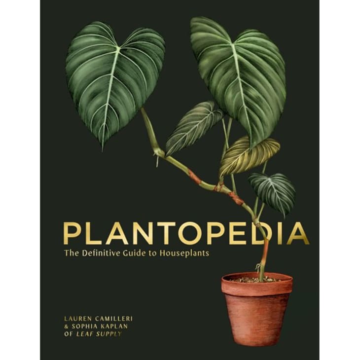 Product Image: Plantopedia: The Definitive Guide to Houseplants