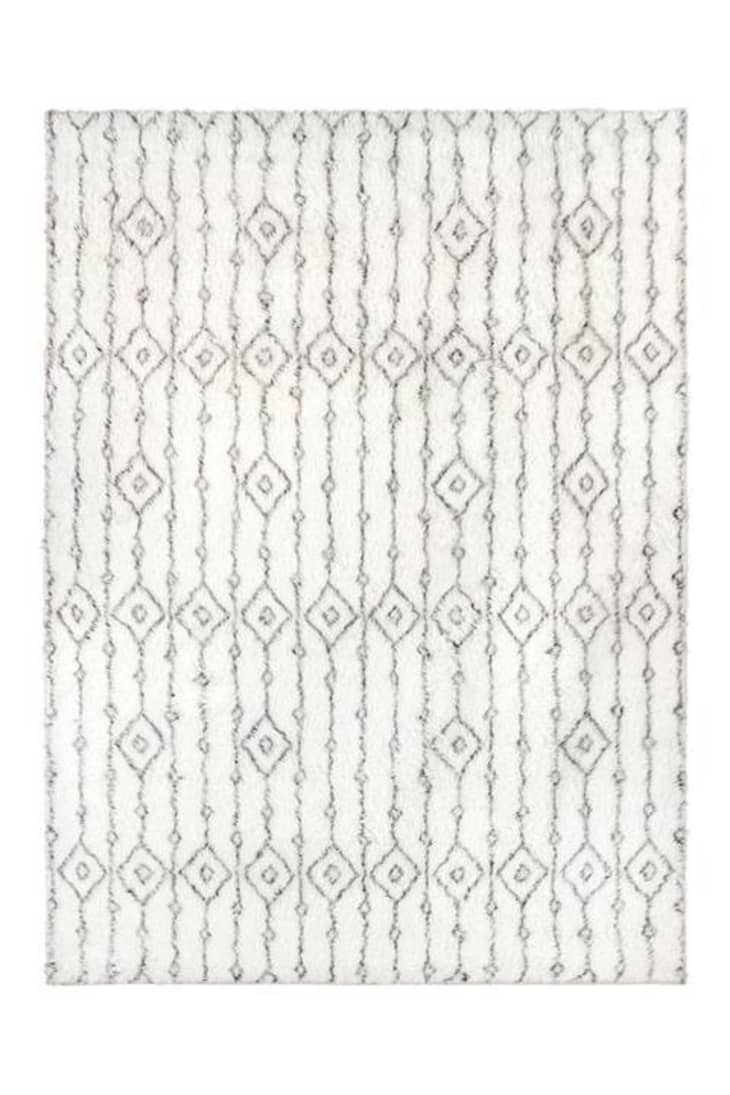 Product Image: Plush Moroccan Ornate Rug, 5' x 7'