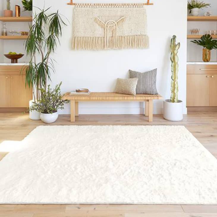 The Best Plush and Cozy Rugs 2023