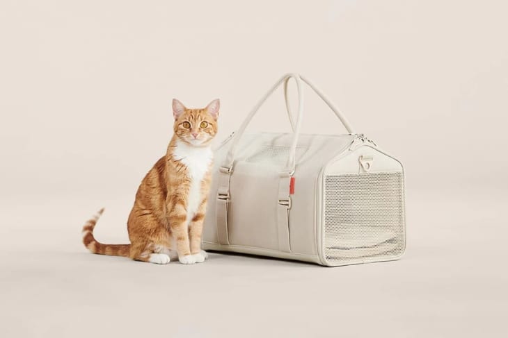 Porto Cat Carrier at Tuft & Paw
