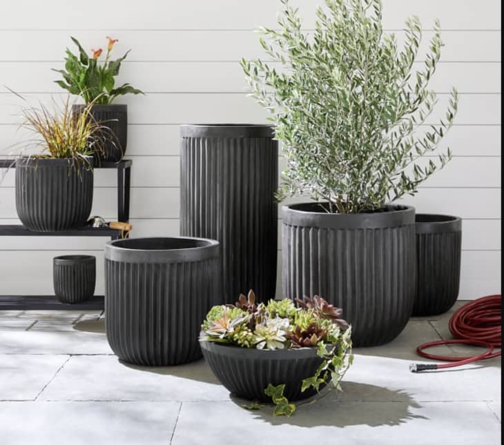Concrete Fluted Planters, 7" at Pottery Barn