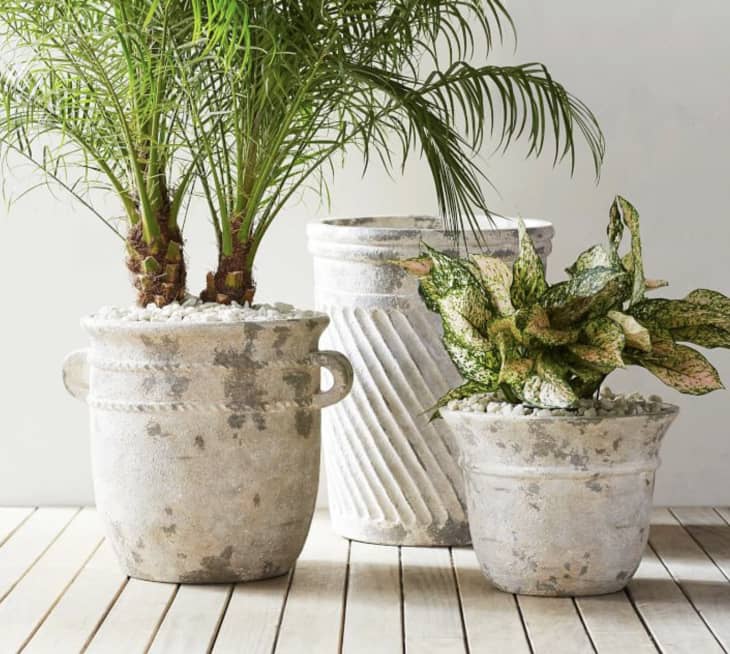 Eclectic Villa Planters, 8" x 6" at Pottery Barn