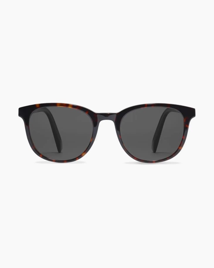 Charlie Polarized Acetate Sunglasses at Quince