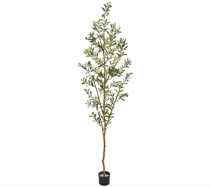 Product Image: Nearly Natural 82" Olive Artificial Tree